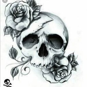 Meet your Posher, Rosa